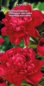 Корневище Пиона травянистого ПОИСК Канзас