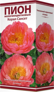 Луковицы пиона травянистого ПОИСК Корал Сансет 1 шт