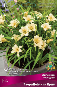 Корневище Лилейника гибридного ПОИСК ЭвериДейлили Крим