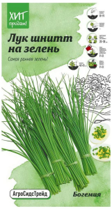 Семена Лука Детская грядка Богемия на зелень 0,5 г