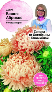 Семена Астры Октябрина Ганичкина Башня абрикос 0,3 г