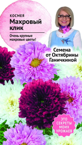 Семена космея Октябрина Ганичкина Big Top Махровый клик 0,1 г