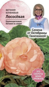 Семена Бегонии клубневой Октябрина Ганичкина лососевая 6 шт