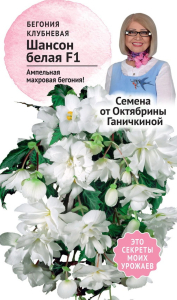 Семена Бегонии клубневой Октябрина Ганичкина Шансон белая F1 6 шт