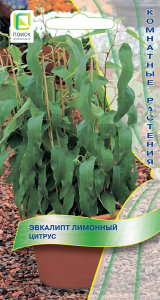 Семена Эвкалипта ПОИСК Лимонный Цитрус 5 х 5 шт