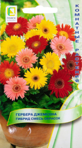 Семена Герберы ПОИСК Джемсона гибрид Смесь окрасок 10 шт