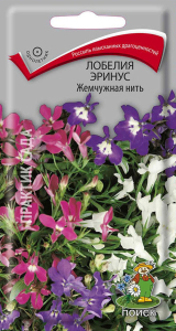 Семена Лобелии ПОИСК Эринус Жемчужная нить 0,1 г