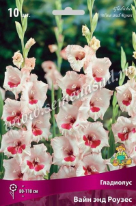 Луковицы Гладиолуса ПОИСК Вайн энд роузес 3 x 3 шт