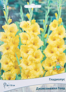 Луковицы Гладиолуса ПОИСК Джэксонвил голд 3 x 3 шт