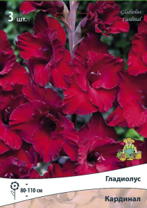 Луковицы гладиолуса крупноцветкового ПОИСК Кардинал 3 шт