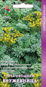 Семена Руты овощной ПОИСК Кружевница 25 шт
