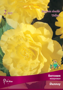Луковица Бегонии махровой ПОИСК Йеллоу