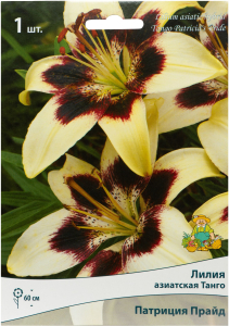 Луковица Лилии ПОИСК Патриция Прайд