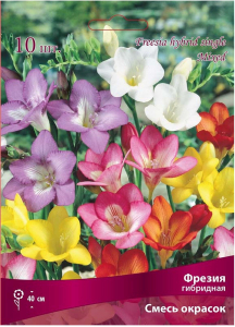 Луковицы Фрезии ПОИСК Смесь окрасок 10 x 1 шт