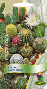 Семена Кактуса ПОИСК Смесь видов 0,1 г