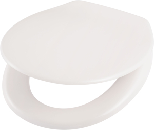 Сиденье для унитаза с микролифтом OBI Olivares