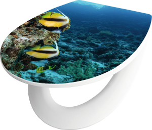 Сиденье для унитаза с микролифтом baliv Garabi