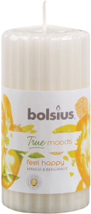 Свеча классическая Bolsius Feel Happy манго, бергамот 12x5,8 см белая