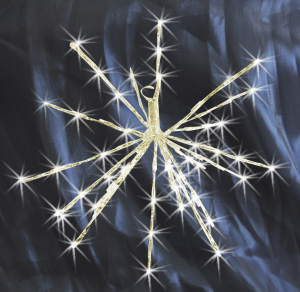 Гирлянда внутренняя SH Lights 20 LED теплый белый 20 см