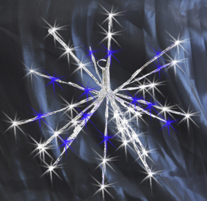 Гирлянда внутренняя SH Lights 20 LED белый, синий 20 см