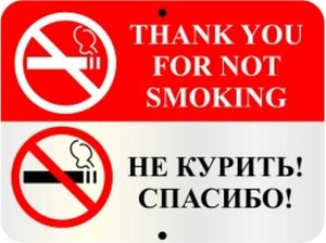 Табличка для двери REXXON Не курить 31х41х0,1 см