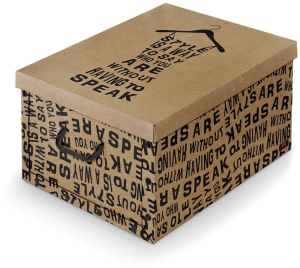 Коробка для хранения вещей Domopak DP914507B 39х50х24см