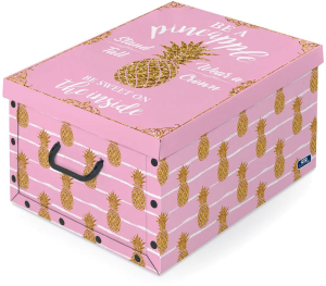 Коробка для хранения вещей Domopak DP914535A 39х50х24см