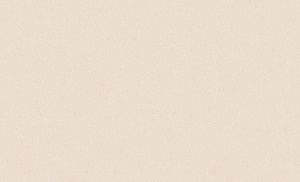 Флизелиновые обои ERISMANN Basic Plus 70000-04 бежевые 1,06х15 м