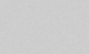 Виниловые обои ATELIERO Maestro 889987 1,06x10 cерые