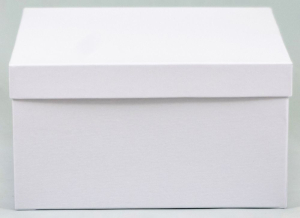 Подарочная коробка квадратная белая 22х12 см