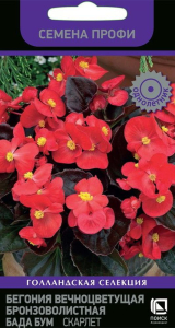 Семена Бегонии Бада бум скарлет 15 шт