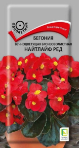 Семена Бегонии Найтлайф ред 15 шт