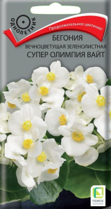 Семена Бегонии Супер олимпия вайт 15 шт