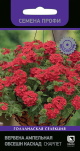 Семена Вербена Каскад скарлет 7 шт