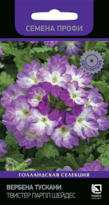 Семена Вербена Тускани 10 шт