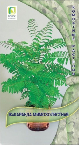 Семена Жакаранда мимозолистная 5 шт