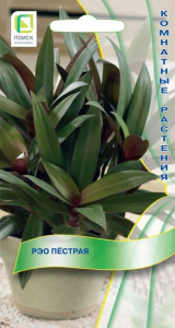 Семена Рэо пестрая 5 шт