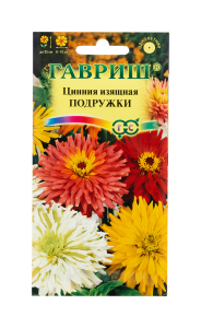 Семена цинния подружки кактус см 0,2 г