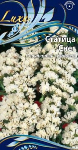 Семена статица снег 0,2 г