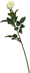 Искусственный цветок Роза Крета кремово-зеленая 78 см