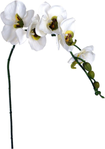 Искусственный цветок Орхидея кремовая 92 см