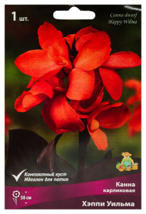 Луковицы Канна Хэппи Уильма 1 шт