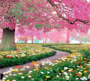 Фотообои Fbrush В РОЗОВОМ САДУ