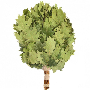 Веник "Канадский дуб". Премиум PS0842 PROFFI SAUNA