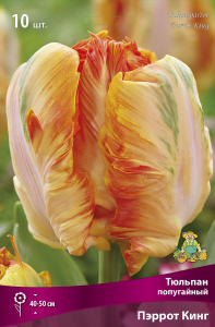 Тюльпан ПОПУГАЙНЫЙ ПЭРРОТ КИНГ 10 шт