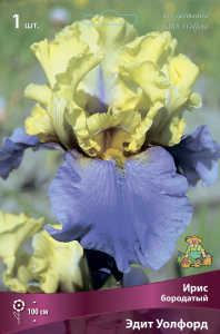 Ирис БОРОДАТЫЙ ЭДИТ УОЛФОРД 1 шт