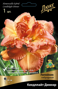 Лилейник ГИБРИДНЫЙ КЕНДЛАЙТ ДИННЕР 1 шт