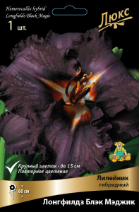 Лилейник ГИБРИДНЫЙ ЛОНГФИЛДЗ БЛЭК МЭДЖИК 1 шт