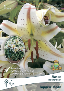 Лилия ВОСТОЧНАЯ ГАРДЕН ПАРТИ 1 шт