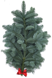 Букет из Пихты Нобилес с красной лентой 60-80 см